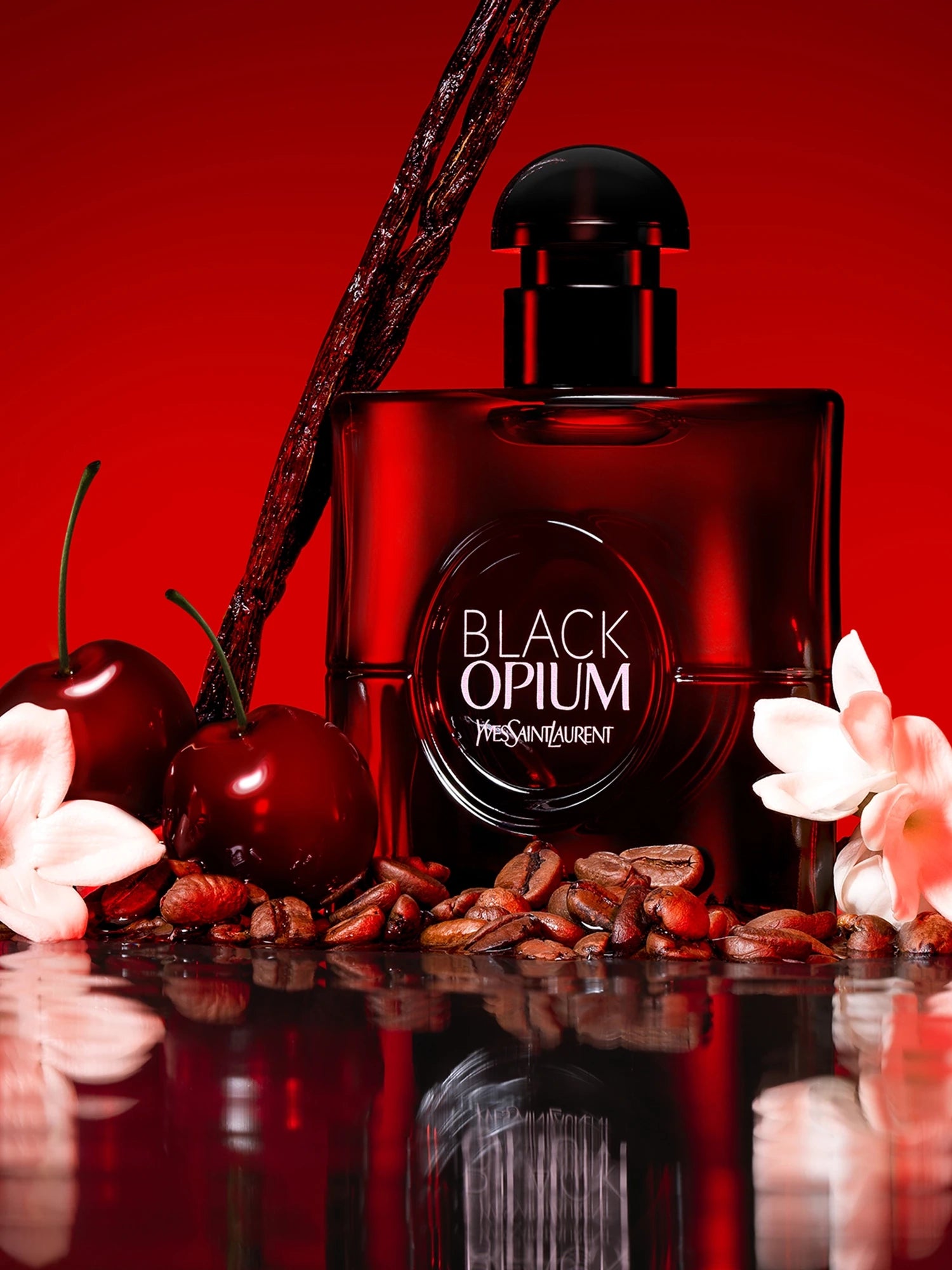 A bottle of Yves Saint Laurent Black Opium perfume centered on a glossy red reflective surface, surrounded by dark cherries, vanilla pods, cocoa beans, and pale pink flowers against a vivid red background.